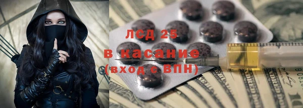 прущие крисы Аркадак