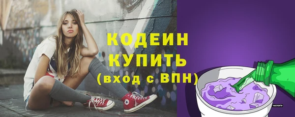 ГАЛЛЮЦИНОГЕННЫЕ ГРИБЫ Новозыбков