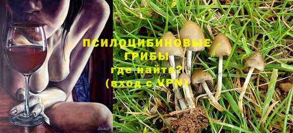 ГАЛЛЮЦИНОГЕННЫЕ ГРИБЫ Новозыбков